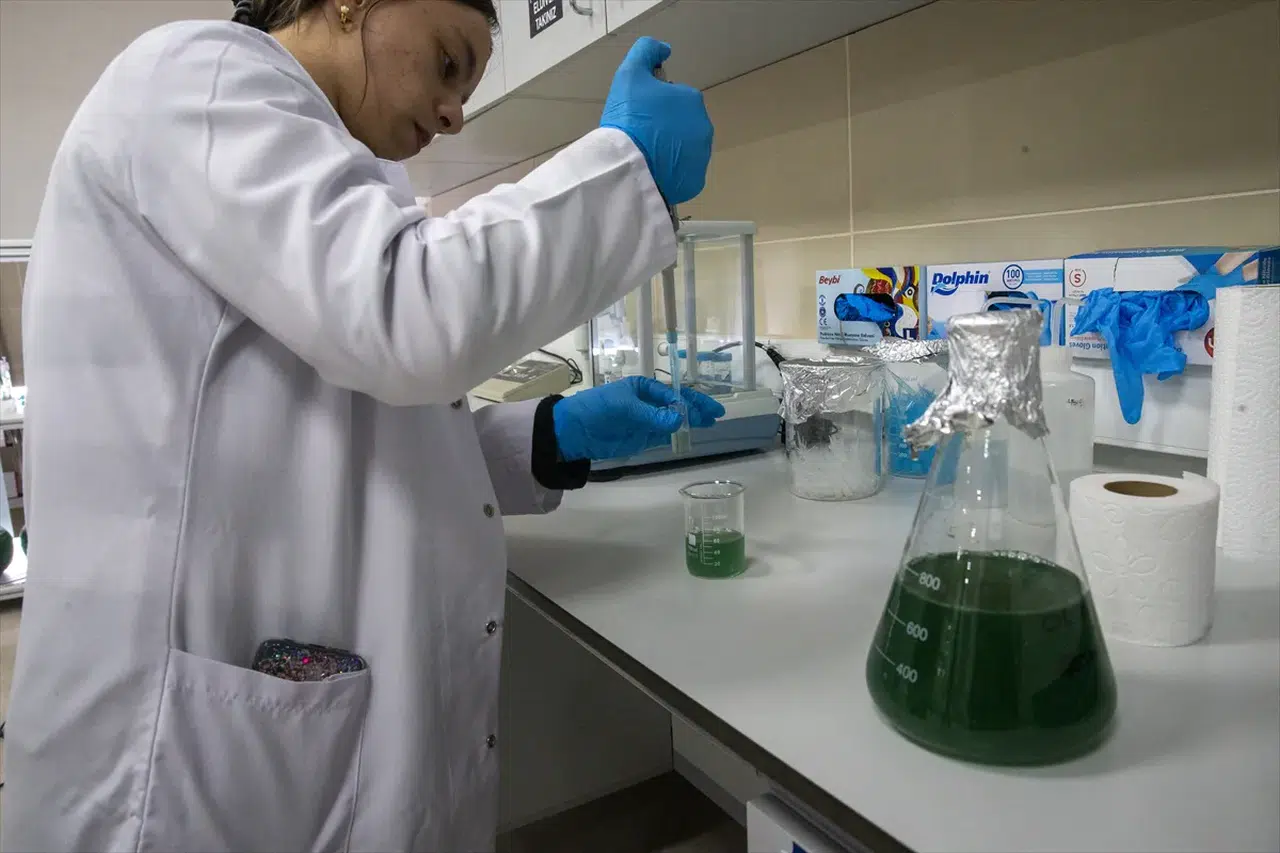 Türk akademisyenlerden mürekkep balığı ve mikro alglerle doğal güneş kremi