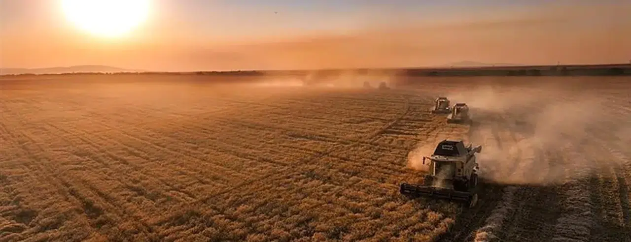 Dünya tarım bakanları gıda ve su için İstanbul'da buluşuyor
