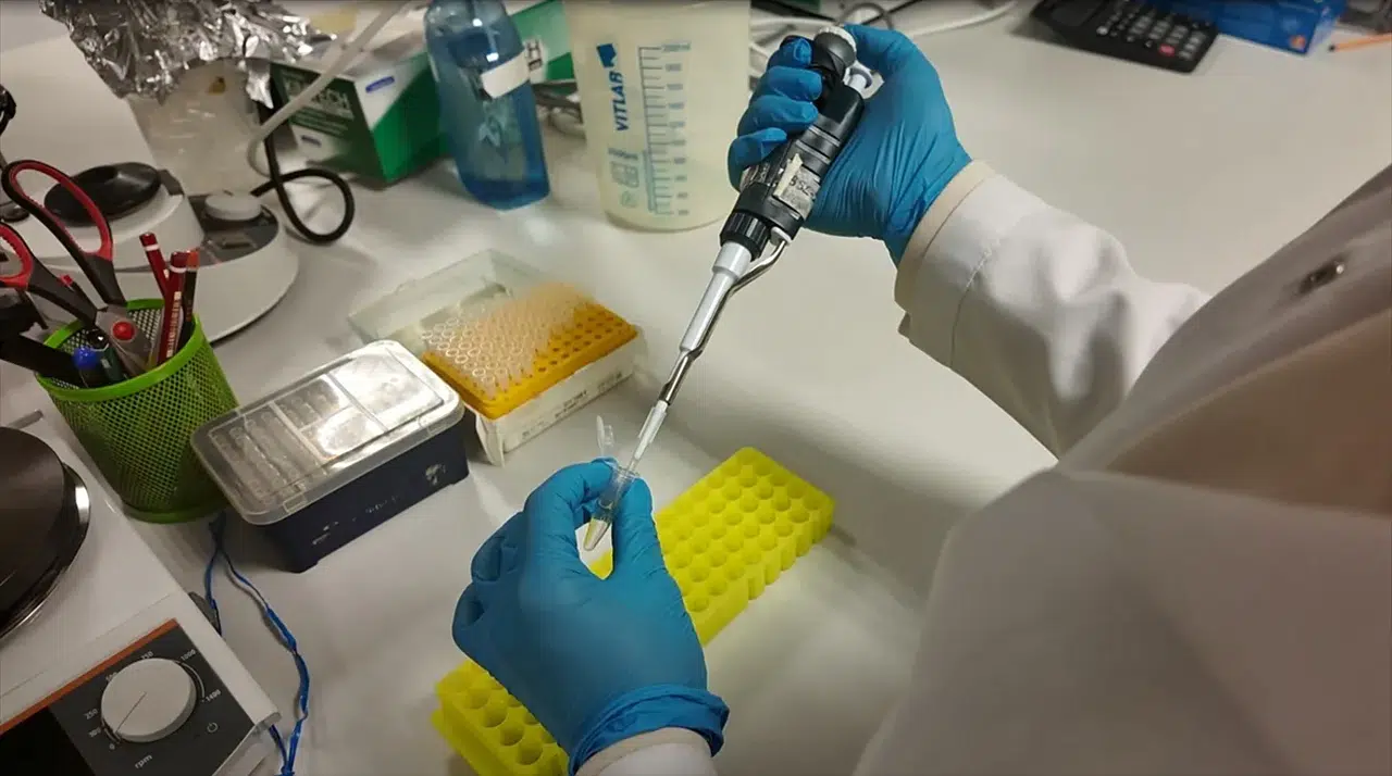 Yerli Kırım Kongo Kanamalı Ateşi aşısında önemli gelişme