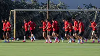 A Milli Futbol Takımı Dünya Kupası öncesi son provada: Rakip Venezuela
