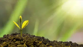 Bakanlıktan yerel yönetimlere 96 milyar liralık çevre yatırımı desteği