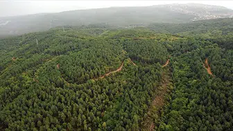 Türkiye orman artışında Avrupa'da lider