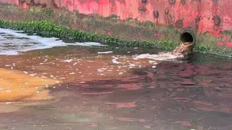 Mavi Vatan'da kirliliğe geçit yok: 25 milyon lira ceza