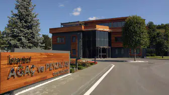 İBB iştiraki Ağaç ve Peyzaj A.Ş.'ye operasyon: 29 gözaltı