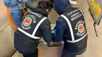 Gümrükler Muhafaza: "3 yılda 108,7 ton uyuşturucu ele geçirildi"