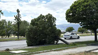 Erzincan’da fırtına hayatı olumsuz etkiledi