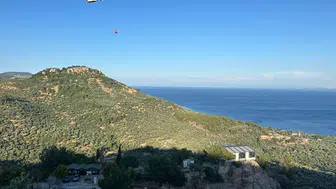 Çanakkale’de zeytinliklerin bulunduğu alanda çıkan yangın kontrol altına alındı