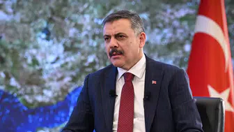 Bakan Çiftçi'den sahipsiz köpekler için net açıklama: "Yılbaşına kadar sokaklarda tek bir tane bile kalmayacak"