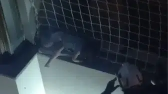 Denizli’de yürekleri ağza getiren anlar: Balkon filesinde asılı kalan çocuk kurtarıldı
