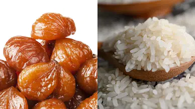 13 ürünümüz daha AB’den tescil edildi