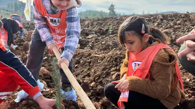 Muğla'da 20 bin fidan “81 İlde 81 Orman” projesiyle hayat buluyor