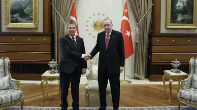 Cumhurbaşkanı Erdoğan, KKTC Başbakanı Üstel'i kabul etti