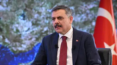 Bakan Çiftçi'den sahipsiz köpekler için net açıklama: "Yılbaşına kadar sokaklarda tek bir tane bile kalmayacak"
