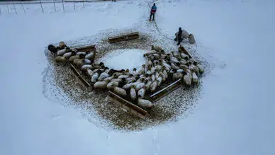 Erzurum’da beyaz esaret: Besicilerin 3 metrelik karla imtihanı