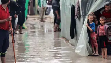 Gazze’de yeni kabus: Çadır kamplarını fareler sardı