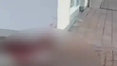 Almanya’da camiye çirkin saldırı: Cami girişine domuz başı bırakıldı