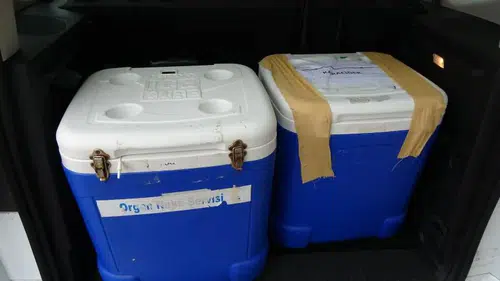 Genç kadının organları 3 hastaya can verecek: “Başkaları aynı acıyı yaşamasın”