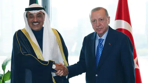 Cumhurbaşkanı Erdoğan, Nijer Cumhurbaşkanı Tchiani ile bir araya gelecek