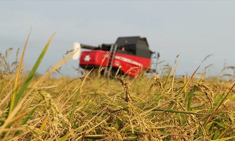 Bakan Yumaklı duyurdu: Üreticiye 4,2 milyar liralık ödeme