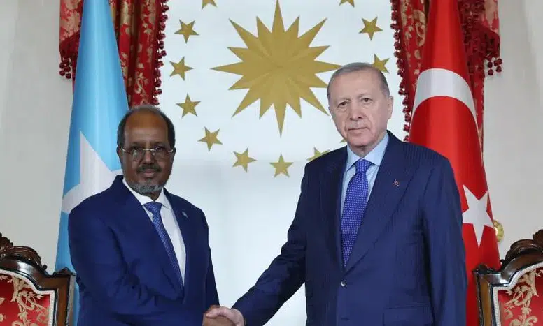 Cumhurbaşkanı Erdoğan, Somali Cumhurbaşkanı Mahmud ile görüştü