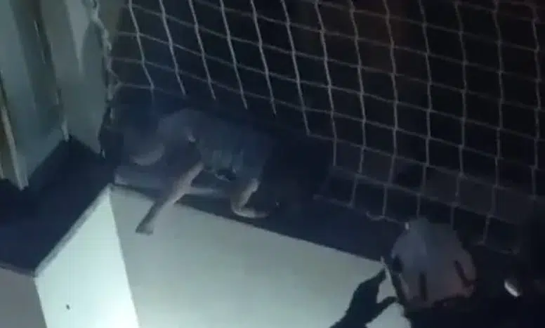 Denizli’de yürekleri ağza getiren anlar: Balkon filesinde asılı kalan çocuk kurtarıldı